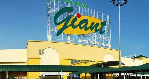 Giant Kangar 1 giant kangar